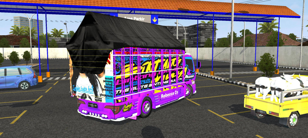 Canter 010